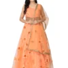 WM-17 Embroidered Net Flared Gown