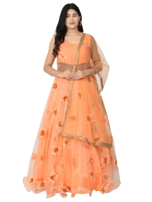 WM-17 Embroidered Net Flared Gown
