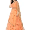 WM-17-B Embroidered Net Flared Gown