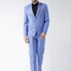 Blue Solid Single Breasted Suit