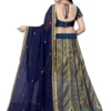 saari-6-A Embroidered Flared Lehenga