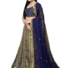 saari-6-B Embroidered Flared Lehenga