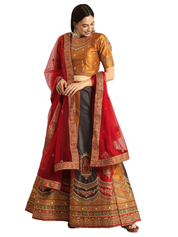 saari-7 Multi Colored Raw Silk Flared Lehenga