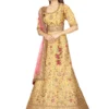 saari-8 Embroidered Flared Lehenga